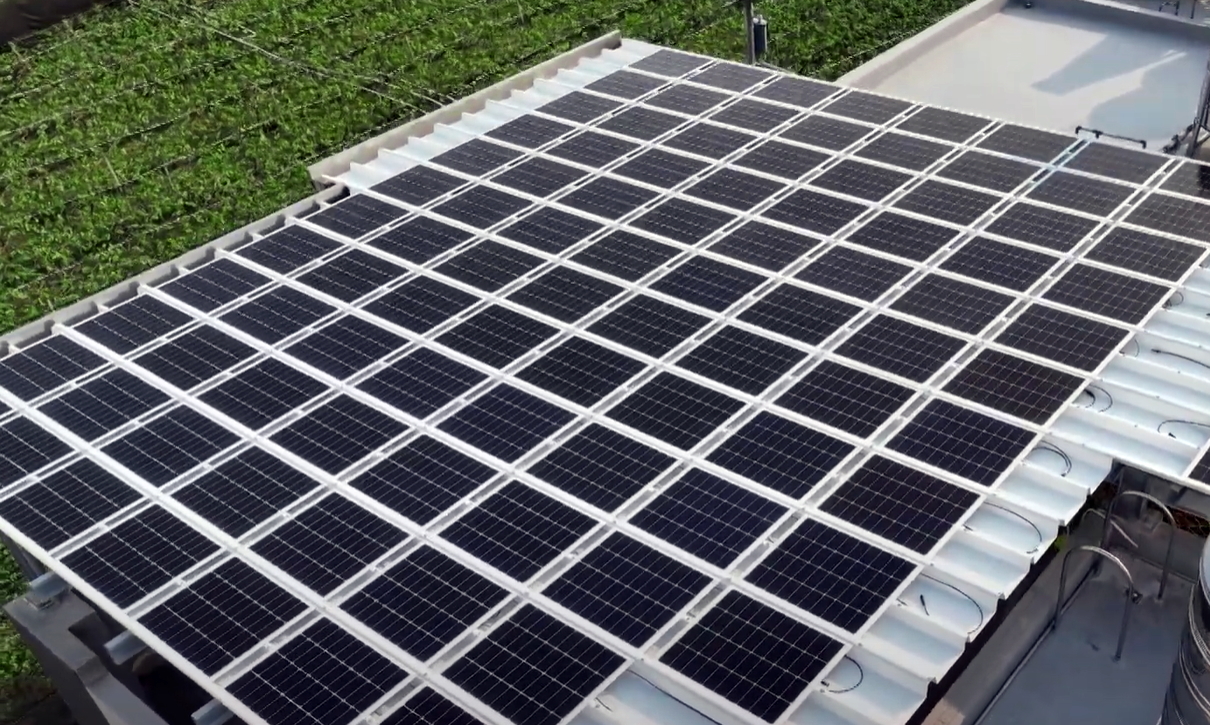 jinnian金年会SunSteel光电浪板升级双玻结构，以提升机械负载强度及气候耐候度，可广泛运用于多元场域