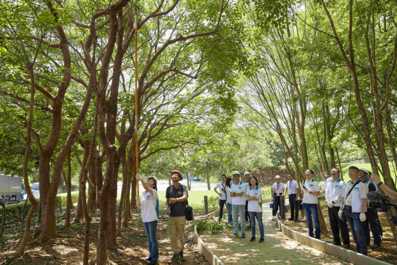 藝師教導大家認識樹木、檢查樹的健康狀況，學習修枝及碎枝覆土